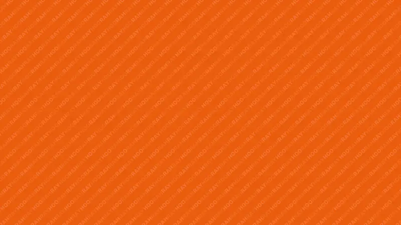 Desktop background: Hoo Ray Ray pattern on orange background